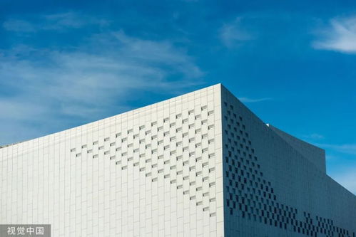 8萬元深圳3日游？網(wǎng)友調(diào)侃 努力一把，9萬元回家