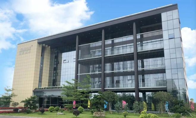 道氏技術(shù)在接受機(jī)構(gòu)調(diào)研時(shí)表示,公司在單雙壁碳納米管導(dǎo)電劑研發(fā)投產(chǎn)
